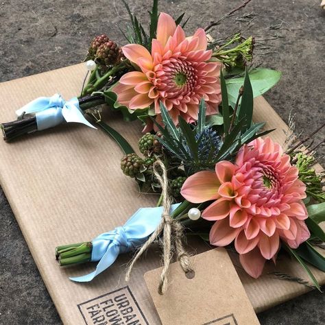 Wedding & Events Florist on Instagram: “When your Bridesmen need buttonholes to steal the show.....LOVE these gorgeous dahlia buttonholes ties with blue ribbon....why shouldn’t…” Dahlias Wedding, Button Hole, Show Love, Blue Ribbon, Dahlia, Wedding Events, Florist, Wedding Flowers, Gift Wrapping