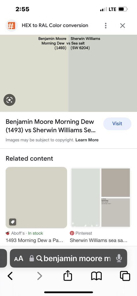 Morning Dew Sherwin Williams, Morning Dew Benjamin Moore, Morning Dew Paint, Benjamin Moore Morning Dew, Paint Pallette, Colorado House, Colorado Homes, Morning Dew, Ral Colours