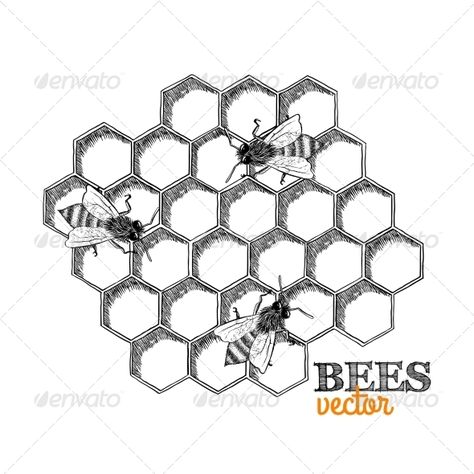 Honey bees and honeycomb isolated vector illustration. Editable EPS and Render in JPG format Honeycomb Drawing, Beehive Drawing, Honeycombs Drawings, Honey Bee Drawing, Bees And Honeycomb, Black And White Bee, Bee Drawing, Bee Illustration, Bee Honeycomb