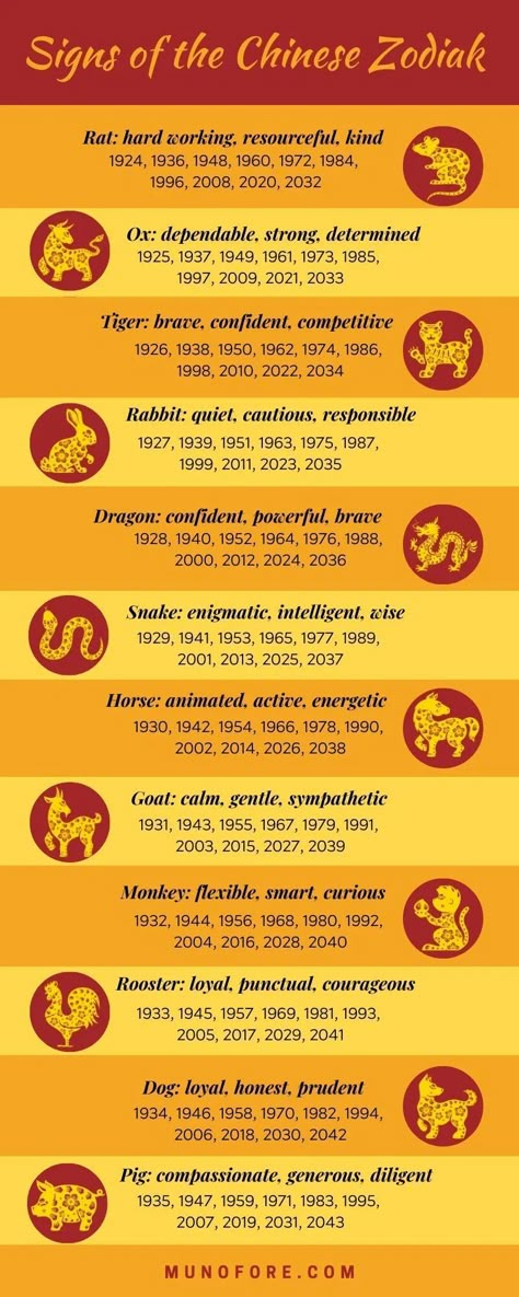 2024 Chinese Zodiac, Korean Zodiac Signs, Chinese Astrology 2023, Chinese Horoscope 2024, Chinese Zodiac Wallpaper, Japanese Zodiac Signs, Chinese Astrology Chart, Chinese Astrology Signs, Chinese Zodiac Signs Dragon