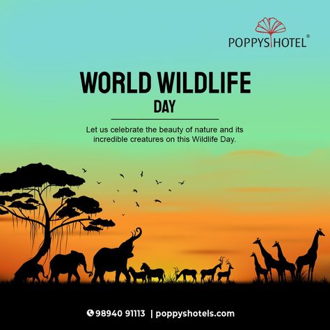 we are all interconnected and interrelated. With deteriorating wildlife, humans will be left with a dark future. Happy World Wildlife Day wishes from POPPYS HOTELS.. . . For enquiries, Call/WhatsApp: 9894091113 . . #wildlifeday #wildlifeday2024 #wildlife #worldwildlifeday #nature #wildlifephotography #conservation #wildlifeconservation #photography #naturelovers #nationalwildlifeday #naturephotography #wild #worldwildlifeconservationday #natgeo #bird #natureconservation #photooftheday World Wildlife Day, Biology Projects, Wildlife Day, Dark Future, Pondicherry, Incredible Creatures, Wildlife Sanctuary, Poster Layout, Nature Conservation