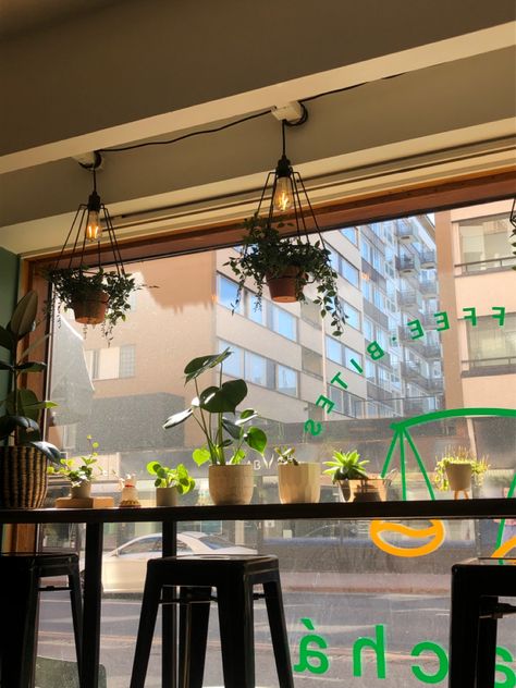 Boba Cafe Aesthetic Interior, Boba Cafe Aesthetic, Boba Tea Shop Aesthetic, Boba Cafe Interior, Boba Shop Interior Design, Plant Cafe Aesthetic, Boba Shop Design, Aesthetic Boba Shop, Boba Tea Shop Interior Design