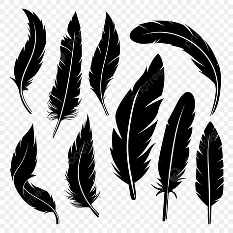 Crow Feather Drawing, Feather Svg Free Cricut, Tattoos Background, Feather Doodle, Vector Free Png, Feather Silhouette, Feather Png, Feather Clipart, Brazil Jersey