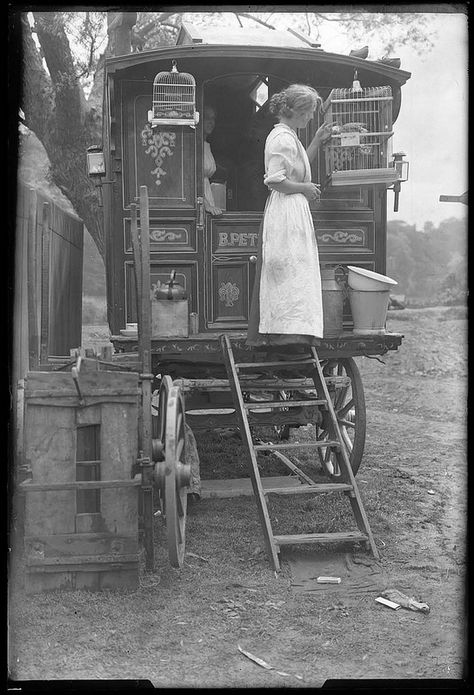 Travelling Medicine Wagon circa 1800's Wilde Westen, Vintage Circus, Horse Drawn, Photo Vintage, White Photo, Vintage Pictures, Old West, Vintage Photographs, A Horse