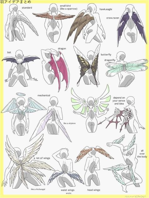 Fairy Wings Drawing, Wings Drawing, Wings Art, Concept Art Drawing, Creature Concept Art, 판타지 아트, Art Poses, Art Tutorials Drawing, Anime Poses Reference