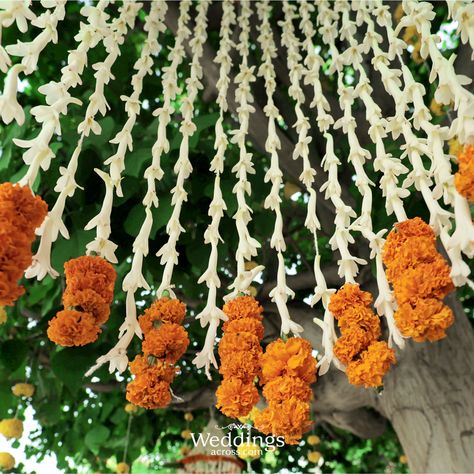 It was a fun filled festive vibe haldi ceremony for the gorgeous couple with flower shower, beautiful floral printed umbrellas and marigold installations. #fairmontjaipur #weddingacross #weddingplanner #weddingseason #weddingstyles #weddingtrends #instawedding #weddinginspiration #weddingplanning #weddingday #eventstyling #eventdecor #eventdesign #bigfatindianwedding #weddingstyle #thebigday #weddingfun #weddingdecor #beautifulwedding #jaipur #weddingplannerjaipur #weddingdetails Marigold Decor, Diwali Dinner, Fairmont Jaipur, Agha Noor, Dinner Decor, Big Fat Indian Wedding, Flower Shower, Dinner Decoration, Haldi Ceremony