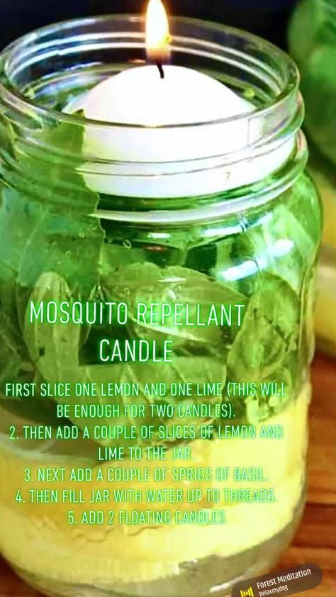 Diy Mosquito Repellent Candle, Diy Bug Repellent, Mosquito Repellent Candle, Mosquito Repellent Homemade, Diy Mosquito Repellent, Natural Mosquito Repellent, Bug Spray Recipe, Natural Bug Repellent, Healing Remedies