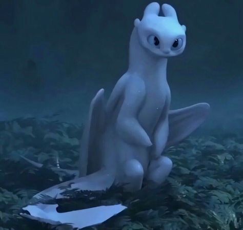 A Screencap of the Light Fury from the HTTYD 3 Trailer by Dreamworks. How To Train Your Dragon: The Hidden World How To Train Your Dragon Light Fury, Light Fury Icon, Httyd Light Fury, Httyd Screencaps, Light Fury Dragon, The Light Fury, The Hidden World, Dragon Movies, Httyd 3