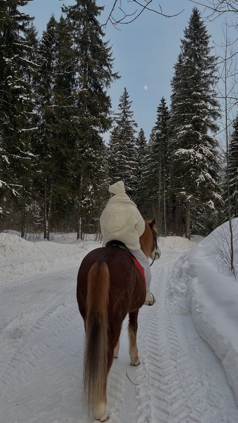 Christmas Horse Aesthetic, Winter Horseback Riding, Horse Winter Photoshoot, Horse Riding In Snow, Winter Horse Riding, Horse In Snow, Horse Snow, Horses In Snow, Horsey Life