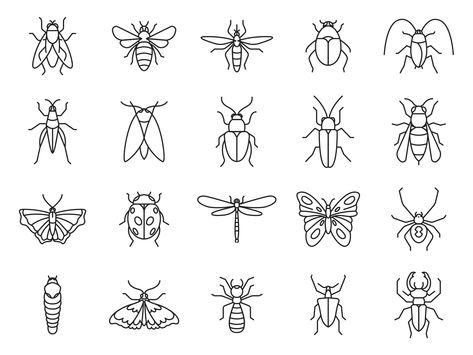 20 Insects Vector Icons Bug Line Drawing, Minimalist Bug Tattoo, Fine Line Insect Tattoo, Fine Line Bug Tattoo, Insect Line Art, Simple Bug Drawing, Insect Drawing Simple, Tiny Bug Tattoo, Bugs Doodle