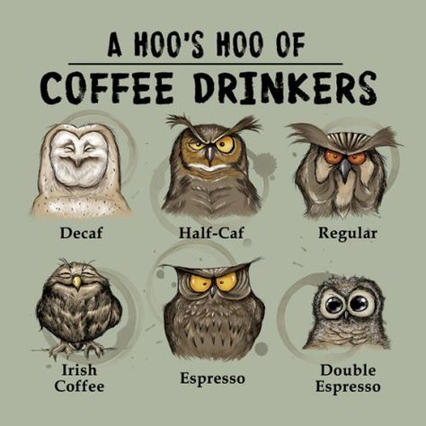 Kaffe Humor, National Coffee Day, Funny Owls, Coffee Obsession, Irish Coffee, Coffee Is Life, Coffee Drinkers, Memes Humor, Espresso Coffee