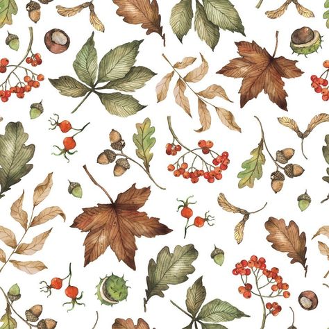 Autumn Watercolour Illustrations, Autumn Watercolour, Woodland Watercolor, Fall Clipart, Fall Watercolor, Watercolor Leaves, Cute Patterns Wallpaper, Reading Journal, Zootopia