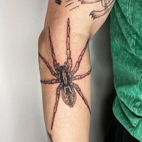 Wolf Spider!! Would love to tattoo more intricate designs like this! 🕸️❤️ • #tattoo#tattoos#finelinetattoo#tattooartist#pnwtattoo#pnwtattooartist Huntsman Spider Tattoo, Wolf Spider Tattoo, Bug Sleeve Tattoo, Spider Forearm Tattoo, Spider Sleeve Tattoo, Lovebug Tattoo, Tarantula Tattoo, Spider Tattoos, Stomach Tattoos Women