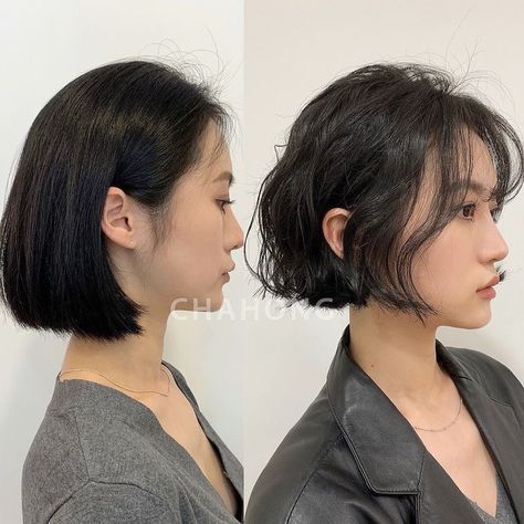 Curly Asian Hair, Bob Perm, Really Short Hair, Chin Length Hair, Asian Short Hair, Hair Inspiration Short, Haircut And Color, Cute Hairstyles For Short Hair, Permed Hairstyles