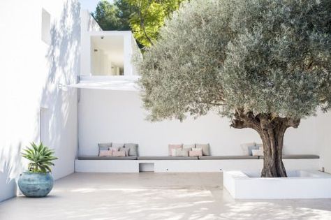 Holiday ready | Anna gillar | Bloglovin’ Casa Exterior, Patio Interior, Mediterranean Garden, Outdoor Inspirations, Courtyard Garden, Olive Tree, Summer House, Garden Inspiration, Patio Garden