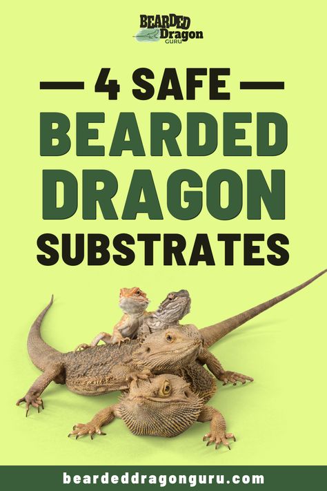 Bearded Dragon Substrate, Bearded Dragon Tank Setup, Bearded Dragon Setup, Diy Bearded Dragon Enclosure, Bearded Dragon Vivarium, Bearded Dragon Terrarium Ideas, Bearded Dragon Diy, Bearded Dragon Terrarium, Bearded Dragon Enclosure