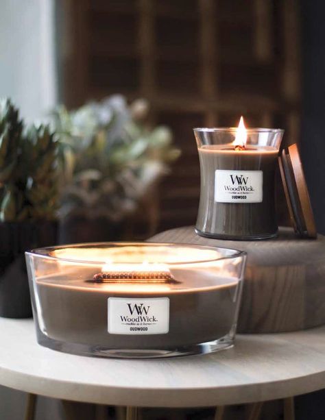 Lux Candles, Candles Business, Woodwick Candle, Flower Shop Ideas, Candles Luxury, Candle Obsession, 2022 Goals, Candle Diy, Coloured Candles