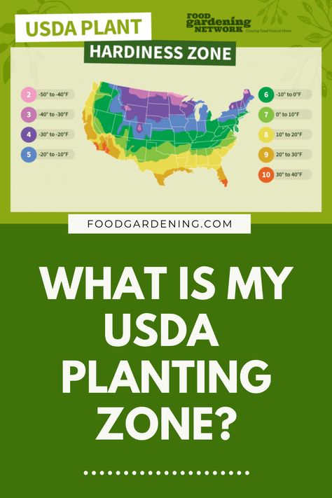 A graphic featuring a graphic that indicates USDA plant hardiness zones of the united states in a rainbow of colors. What is My USDA Planting Zone? Foodgardening.com What Planting Zone Am I In, What Garden Zone Am I In, Planting Zones Map United States, Utah Plants, Planting Zones Map, Deming New Mexico, Garden Zones, Spring Hill Tennessee, Planting Zones