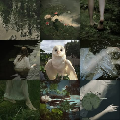 Bird Mood Board, Animal Mood Board, August Moodboard, Leg Reference, Adopt Idea, Hex Color Palette, Color Palette Challenge, Oc Inspo, Mood Board Inspiration