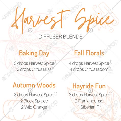 Fall Doterra Diffuser Blends, Fall Diffuser Blends Doterra, September Diffuser Blends Doterra, September Diffuser Blends, Doterra Fall Diffuser Blends, Doterra Autumn Diffuser Blends, Harvest Spice Doterra Diffuser Blends, Harvest Spice Doterra, Harvest Diffuser Blends