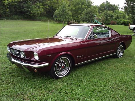 Classics 70s Mustang, Retro Mustang, 65 Ford Mustang, 65 Mustang Fastback, Old Mustang, Burgundy Car, Mustang 65, Random Vintage, 65 Mustang