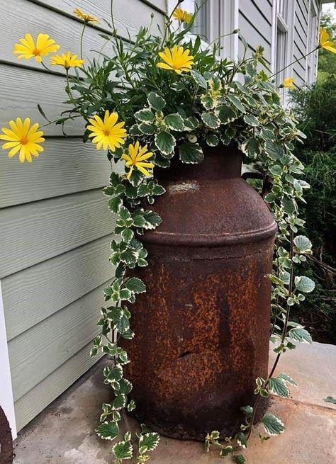 Vintage Milk Can Ideas, Milk Can Garden Ideas, Small Patio Furniture Ideas, Modern Garden Design Ideas, Milk Can Decor, Small Patio Furniture, Old Milk Cans, Outdoor Renovation, Patio Flowers