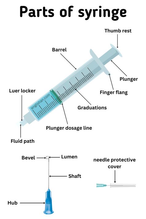 Parts of Syringe Names - Picture Vocabulary Nursing Vocabulary, Medicine Information, Biology Vocabulary, Medical Vocabulary, Phlebotomy Study, Picture Vocabulary, Biochemistry Notes, Medical Assistant Student, Learn Biology