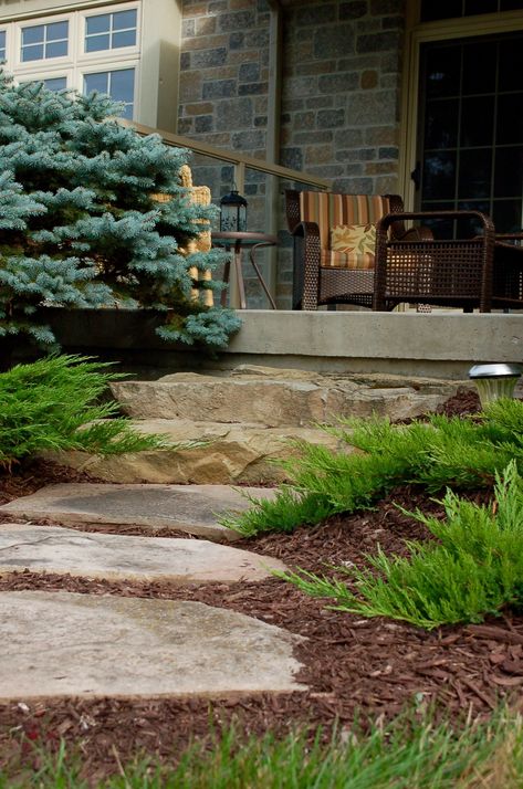 Front Entry from natural stone Natural Stone Front Steps, Flagstone Porch Steps Front Entry, Flagstone Steps Front Entrances, Armour Stone Steps, Natural Stone Steps Front Door, Rock Steps Porch Front Entry, Flagstone Walkway To Front Door, Armour Stone Landscaping, Flagstone Landing