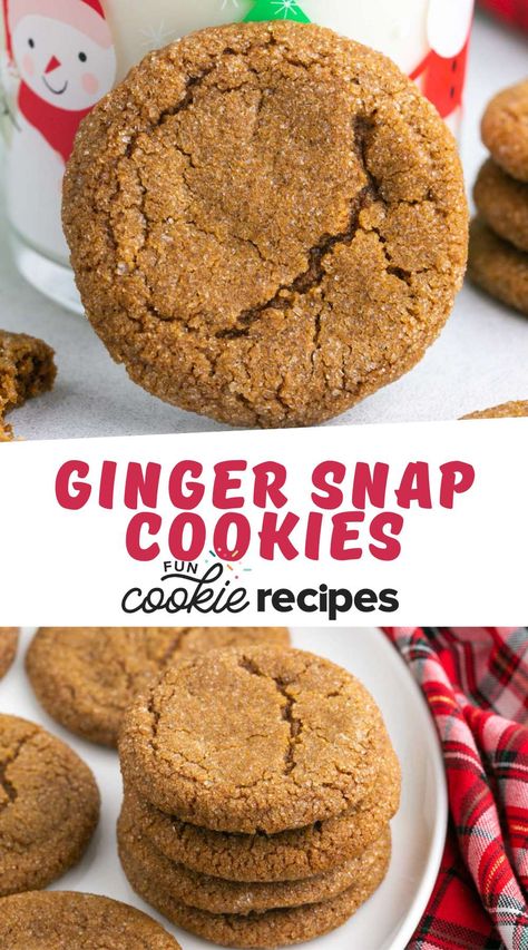 Ginger Sparkle Cookies, Gingersnaps Cookies, Sparkle Cookies, European Cookies, Fun Cookie Recipes, Ginger Snap Cookies Recipe, Ginger Snaps Recipe, Cookie Decorations, Cookies Bars