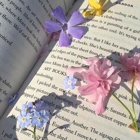 Fox Le Luxe on Instagram: “good morning and gentle reminder that your life is your story to write 🌸” Purple, Flowers, Pink