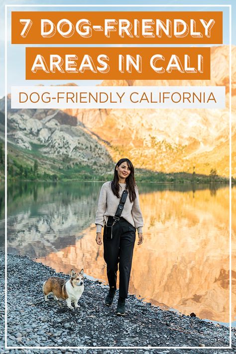 7 Super Dog-Friendly Destinations in California Road Trip With Dog, Dog Friendly Vacation, Best Weekend Trips, California Hikes, Dog Friendly Beach, Dog Friendly Hotels, Dog Hotel, Nevada Travel, Places In California