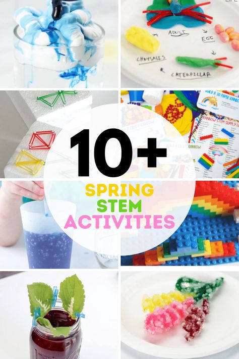 Use these Spring STEM activities at home or in the classroom for fun, hands-on learning! From plant science, to coding and everything in between, there are fun Spring activities for kids of every age on this list! Egg Drop Project, Spring Stem Activities, Spring Science Activities, Flower Science, Spring Stem, Cloud Activities, Bumble Bee Craft, Spring Science, Stem Activities For Kids