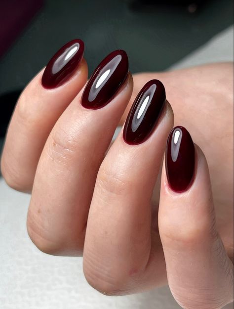 Short Oval Burgundy Nails, Dark Round Nails, Dark Oval Nails, Dark Winter Nails, Oxblood Nails, Ivy Nails, Nail Sculpture, Blood Nails, Deep Red Nails