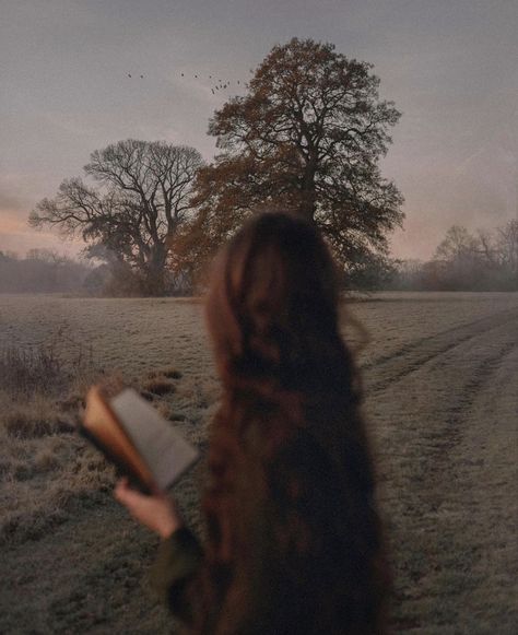 Mini Toile, Dreamy Photography, Dark Academia Aesthetic, Fantasy Aesthetic, Academia Aesthetic, Nature Aesthetic, Girly Photography, Book Aesthetic, Aesthetic Photo