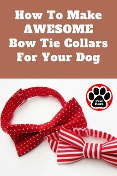 Dog Kerchiefs, Dog Bow Tie Diy, Dog For Sale, Dog Bandana Pattern, Dog Sewing Patterns, Dogs Diy Projects, Diy Dog Collar, Collars Diy, Dog Clothes Diy