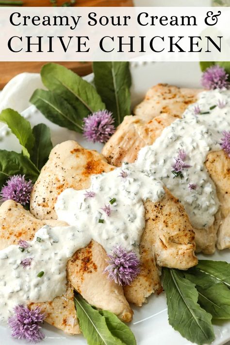 Creamy Sour Cream & Chive Chicken Chicken And Chives Recipe, Simple Chicken Breast Recipes, Chive Chicken, Simple Chicken Breast, Favorite Chicken Recipes, Chives Recipe, Dinner Rotation, Sour Cream Chicken, Weekly Dinner