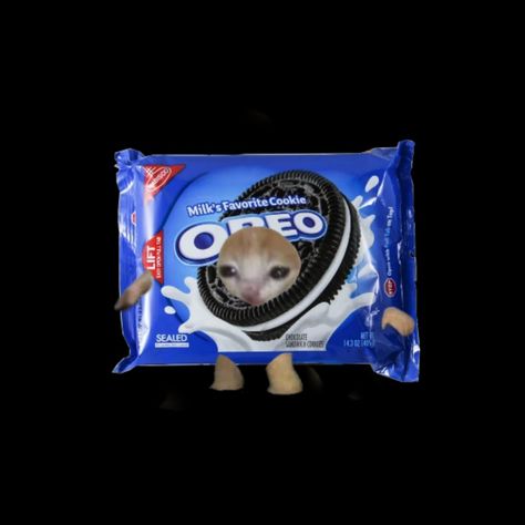 Oreo Cat, Oreo Milk, Cat Ice Cream, Meme Cat, Oreo Ice Cream, Food Cat, Cream Cat, Cat Meme, Cat Icon