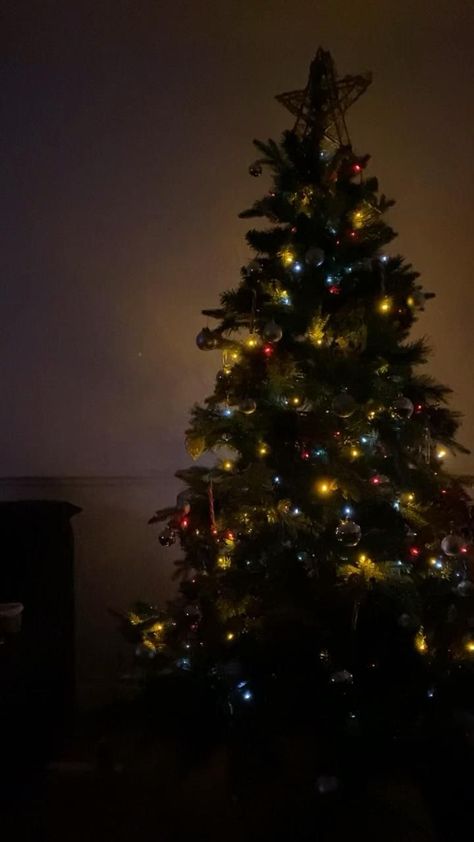 Christmas Tree Videos Aesthetic, Christmas Aesthetic Story Instagram, Christmas Aesthetic Story, A Christmas Story Aesthetic, Christmas Tree Instagram Story, Christmas Story Instagram, Christmas Videos Aesthetic, Christmas Tree Story, Christmas Tree Snap