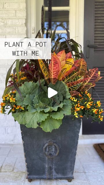 Fall Planters With Cabbage, Croton Planter Ideas, Croton Arrangement, Fall Container Ideas, Fall Flower Pots Front Porches, Fall Planters Outdoor, Fall Outdoor Planter Ideas, Autumn Planters, Fall Potted Plants