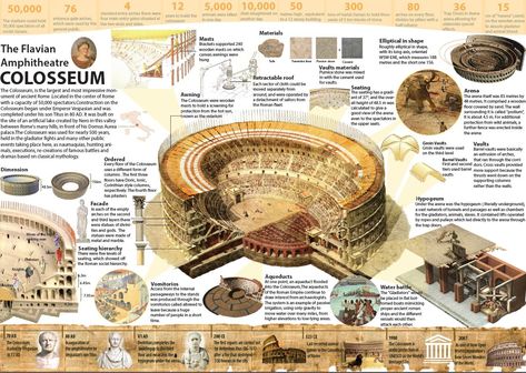 Site Analysis Drawing, Colosseum Architecture, Architecture Infographic, Architecture Journal, Roman Colosseum, History Infographic, Istoria Artei, History Posters, Graphic Design Infographic