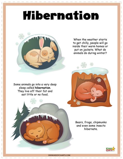 Hibernating Animals Preschool, Hibernation Kindergarten, Hibernation Preschool Theme, Hibernation Preschool Crafts, Hibernating Bear Craft, Hibernation Preschool Activities, Hibernation Crafts, Hibernation Preschool, Hibernating Animals