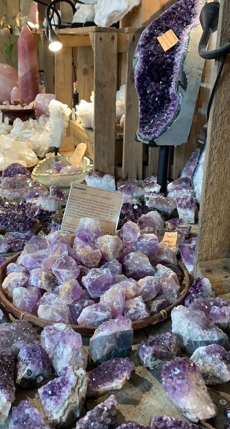 Crystal Room, Crystal Vibes, Crystal Aesthetic, Astrology And Horoscopes, Pretty Rocks, Cool Rocks, Rocks And Gems, Purple Crystals, Crystal Collection