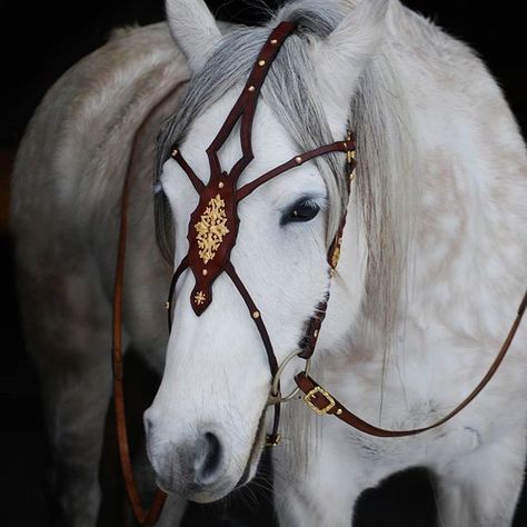 Medieval Horse Bridle, Horse Parade Costume, Medieval Horse Armor, Beautiful Horse Tack, Medieval Horse Tack, Fantasy Horse Tack, Leather Horse Tack, Medieval Horse, Horse Costume