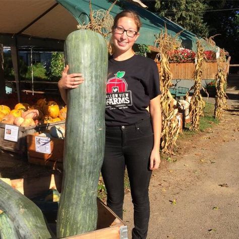 15 Giant vegetables you wont believe are real. - Wow Gallery Giant Vegetable, Zombie Attack, Giant Food, Do Not Fear, Fruits And Vegetables, Trees To Plant, Instagram