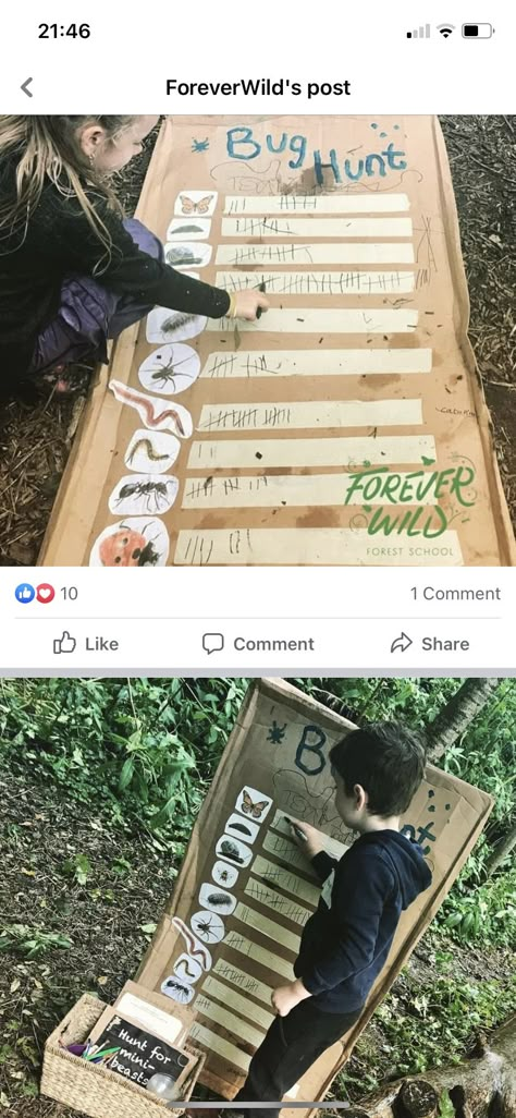 Eyfs Outdoor Provision Ideas, Nursery Garden Ideas Eyfs, Forest School Storage Ideas, Outdoor Literacy Area, Outdoor Classroom Ideas Elementary, Eyfs Outside Area, Nature Center Ideas, Forest School Classroom, Outdoor Learning Eyfs