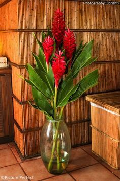 Leaves Arrangement, Glass Decor Ideas, Arrangement Flowers, Tropical Floral Arrangements, Tropical Flower Arrangements, Diy Floral Decor, Ginger Flower, Red Ginger, Hawaiian Lei