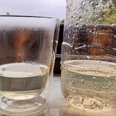 So, we have build a water filter. But now I have a dilemma. Should I let the boys drink the filtered water to keep their science spirit up? Or stay safe, as even after boiling, the water have the unsettling yellowness🤢 Water Filter Experiment, How To Filter Water At Home, Berkley Water Filter Diy, Life Straw Water Filters, Waterloo Sparkling Water, Sawyer Water Filter, Stay Safe, Home Education, Homeschool Activities