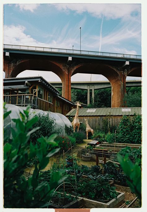 a shot just outside The Cluny in Newcastle, nestled in the region's Ouseburn Valley. Photo: Dan Wilton England History, Newcastle Upon Tyne, Industrial Revolution, Landscape Architecture, Newcastle, The Valley, Design Projects, Gazebo, The Outsiders