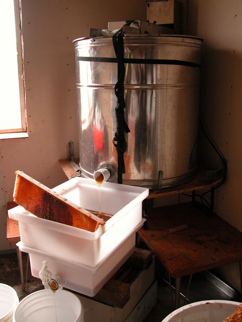 How to Clean a Honey Extractor Honey Extraction Room, Honey Extractor Diy, Bee Project, Harvesting Honey, Feeding Bees, Honey Extractor, Bee Hive Plans, Bee Colony, Bee Keeping Supplies