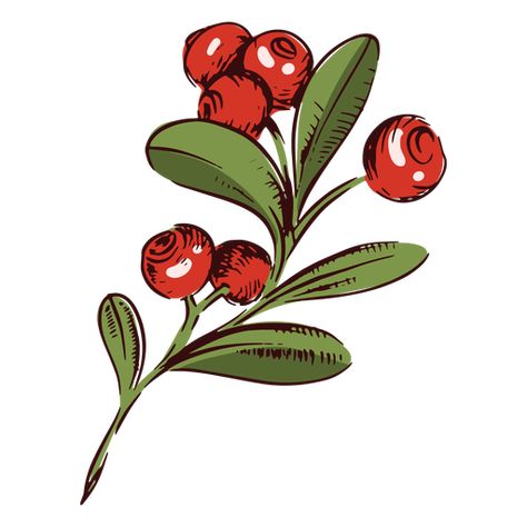 Cranberries branch illustration #AD , #Cranberries, #illustration, #branch Berries Illustration Drawing, Cranberry Branch Tattoo, Cranberry Tattoo Design, The Cranberries Tattoo, Cranberry Watercolor, Cranberry Tattoo, Cranberry Drawing, Cranberry Illustration, Cranberry Branch